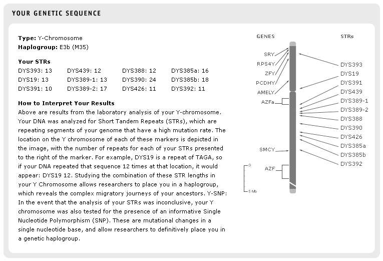 Locate Free Family Tree Sites To The Human Family Tree: Finding Your Branch