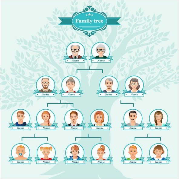 Pedigree Charts & Forms  Family tree chart, Family tree template, Family  tree genealogy