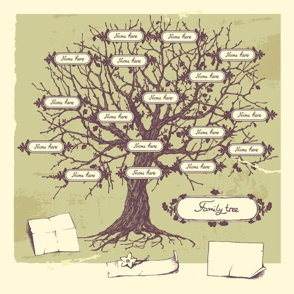 Search your family tree for free and get help finding family tree connections.