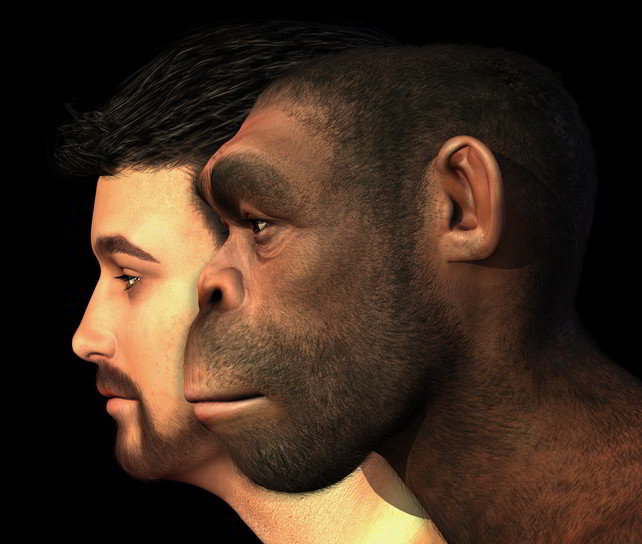 Neanderthal DNA in Humans